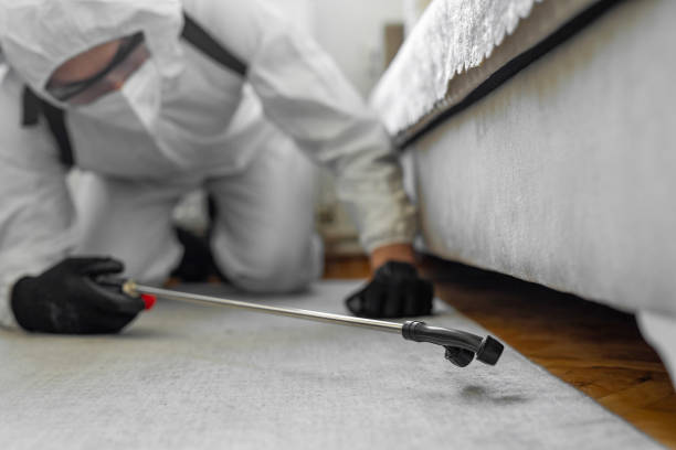 Professional Pest Control technician working in Polk County County, TX